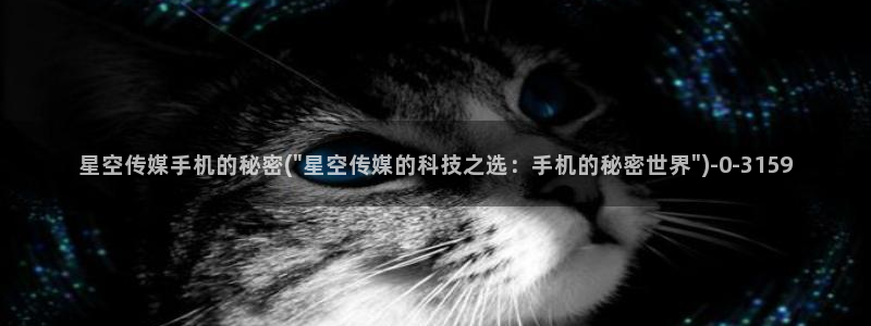 厦门星空传媒：星空传媒手机的秘密(\