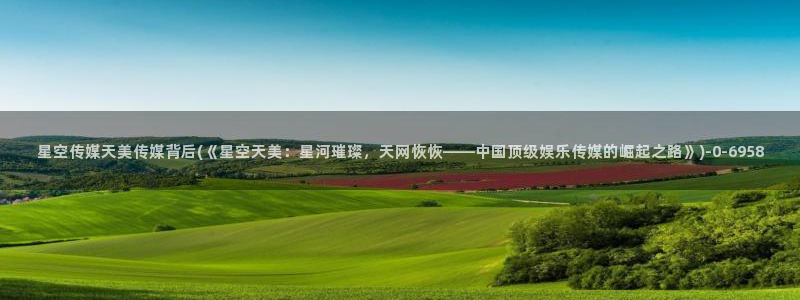 传媒学院星空杯：星空传媒天美传媒背后(《星空天美：星河璀璨，天网恢恢——中国顶级娱乐传媒的崛起之路》)